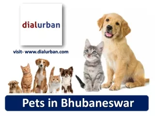 v isit www dialurban com
