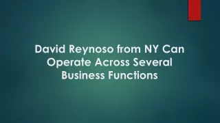 David Reynoso from NY Can Operate Across Several Business Functions