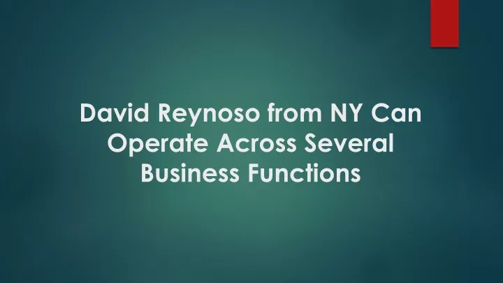 david reynoso from ny can operate across several business functions