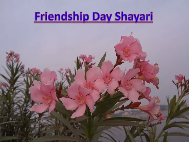 friendship day shayari