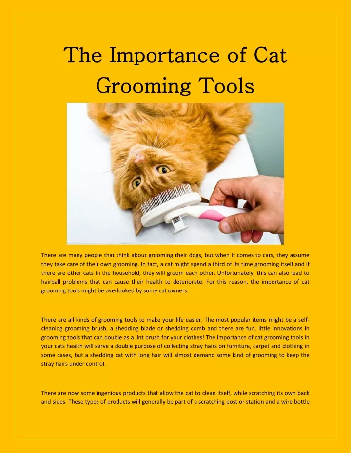 the importance of cat the importance