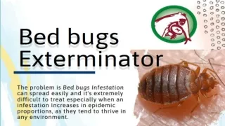 Bed Bug Exterminator in Orlando