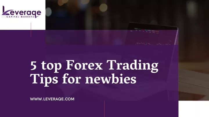 5 top forex trading tips for newbies