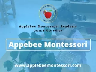 Applebee Montessori Academy – Contact 469-666-8480