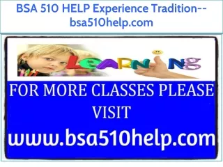 BSA 510 HELP Experience Tradition--bsa510help.com