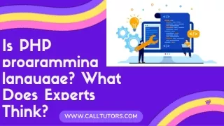 www calltutors com