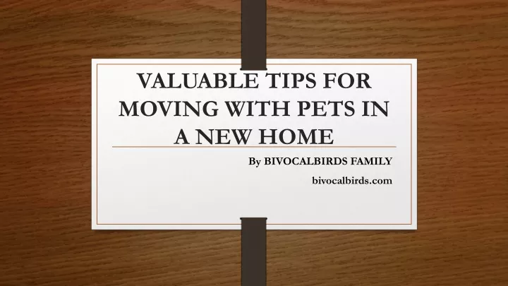valuable tips for moving with pets in a new home