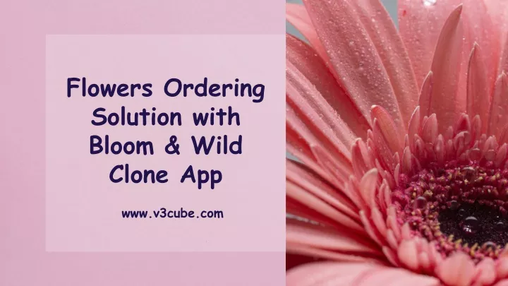 flowers ordering solution with bloom wild clone