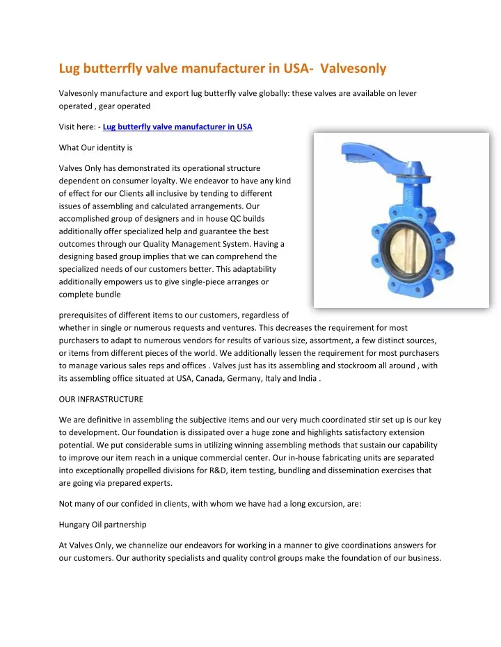 lug butterrfly valve manufacturer