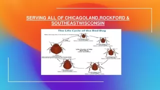 The highest satisfaction with bed bug treatment Chicago