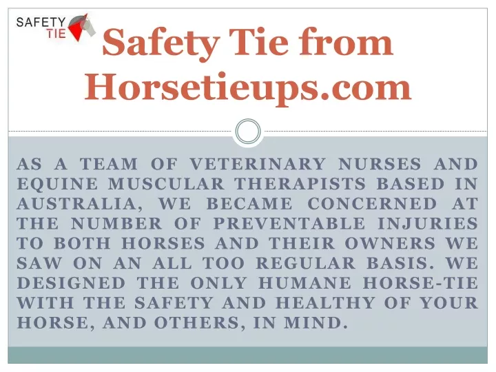 safety tie from horsetieups com