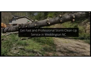 Get Fast and Professional Storm Clean-Up Service in Weddington NC