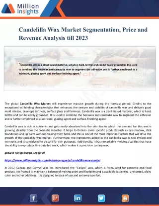 candelilla wax market segmentation price