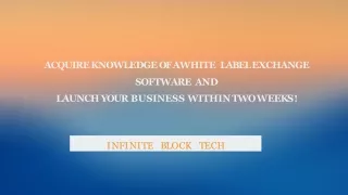 Acquire Knowledge Of A White Label Exchange Software And Launch Your Business Within Two Weeks!