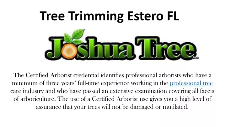 tree trimming estero fl