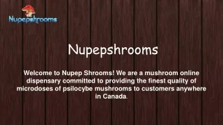 Buy High Quality Mushroom Online In Canada
