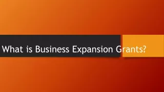 What is Business Expansion Grants?