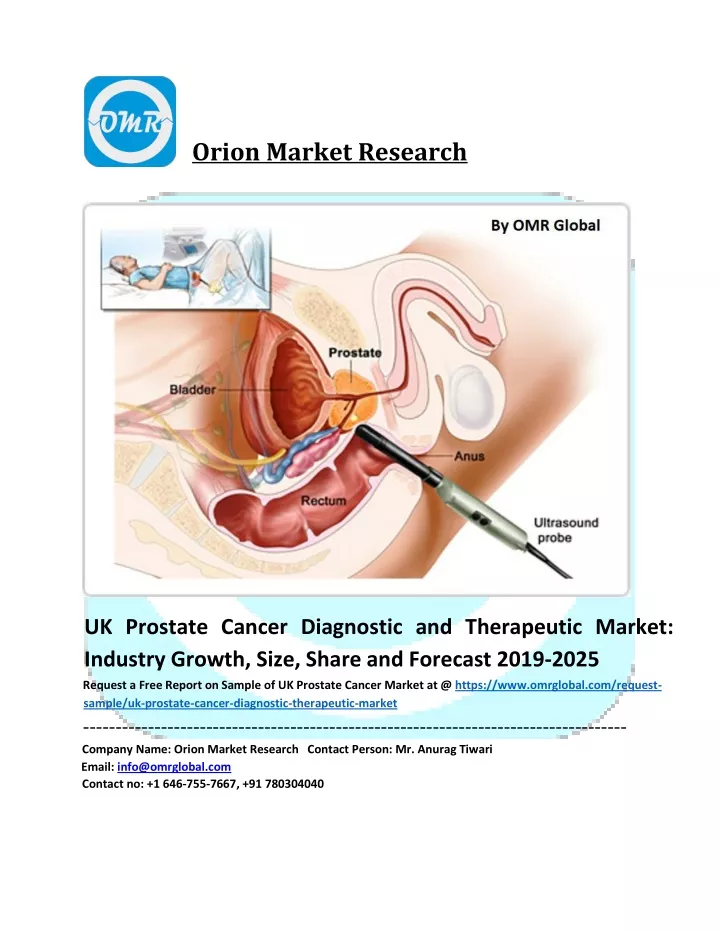 orion market research