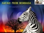 Safari from Mombasa - slide 1
