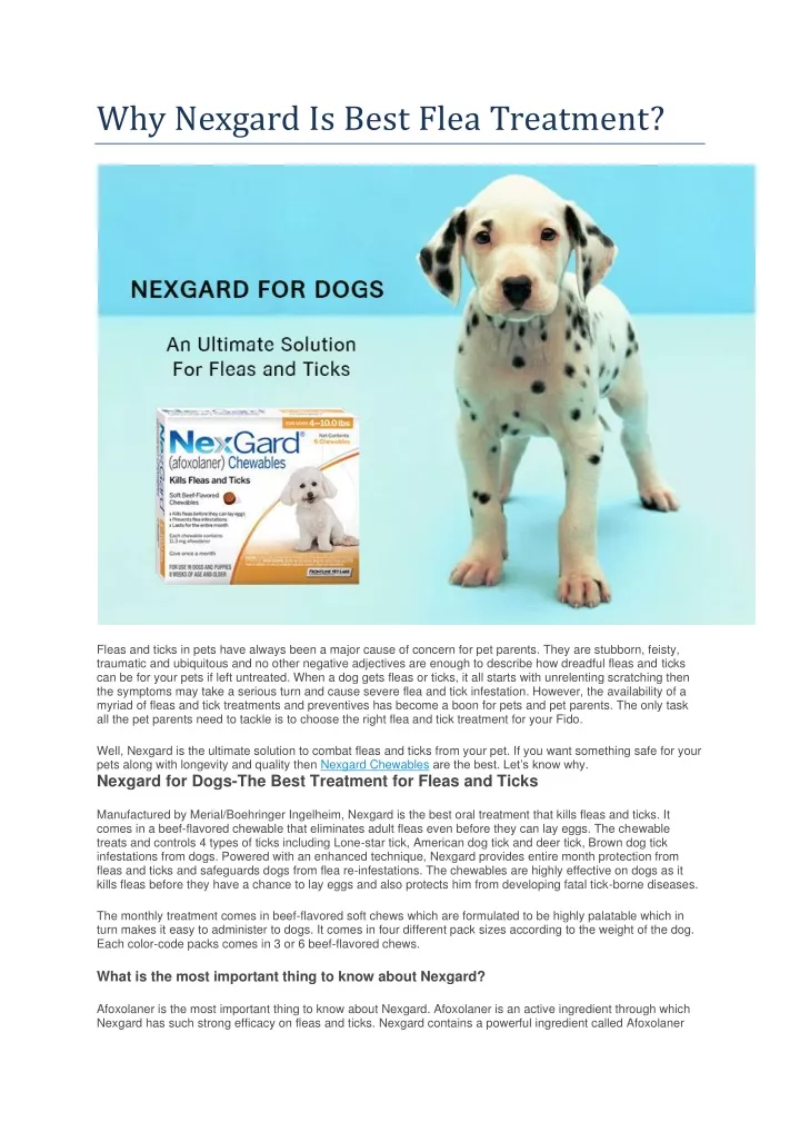 why nexgard is best flea treatment