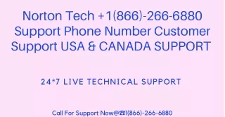 The Birth of Norton Antivirus Phone Number - :  1(866)-266-6880 Norton Tech