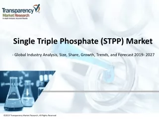 Single Triple Phosphate (STPP) Market: Global Industry Analysis, Size, Share, Growth, Trends, and Forecast, 2019 - 2027
