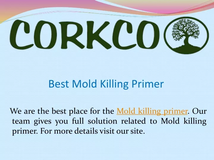 best mold killing primer