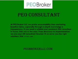 peo consultant