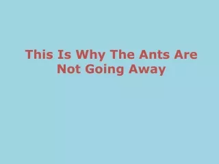 This is why the Ants are not going away