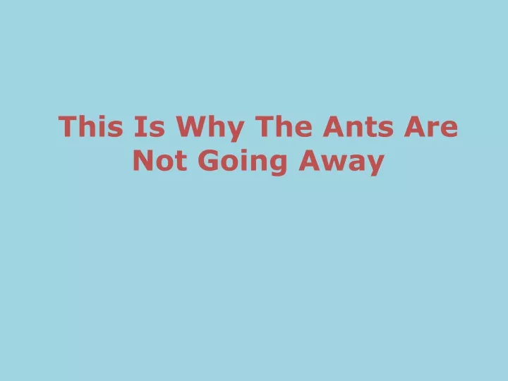 this is why the ants are not going away