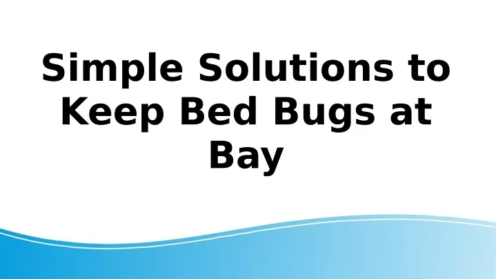 simple solutions to keep bed bugs at bay