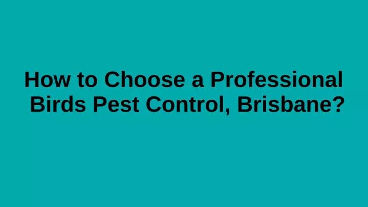how to choose a professional birds pest control