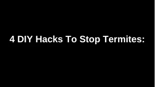 4 DIY hacks to stop termites: