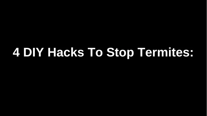 4 diy hacks to stop termites