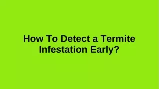 How to detect a termite infestation early?