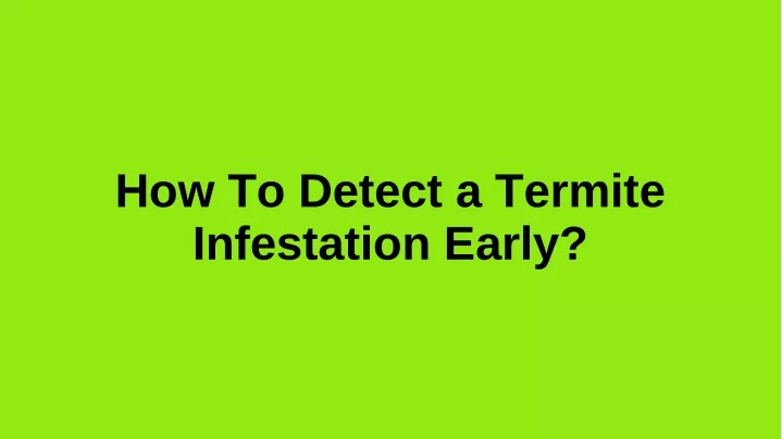 how to detect a termite infestation early