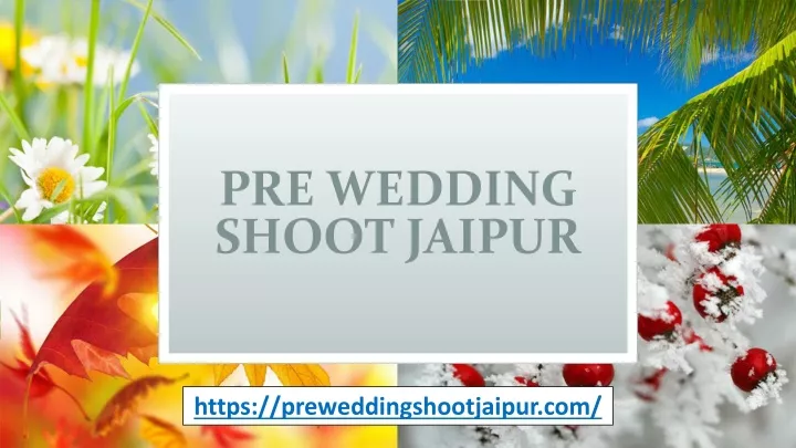 pre wedding shoot jaipur