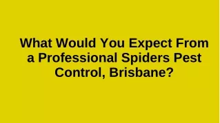What would you expect from a professional spiders pest control, Brisbane?