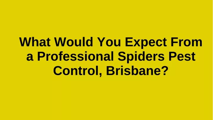 what would you expect from a professional spiders