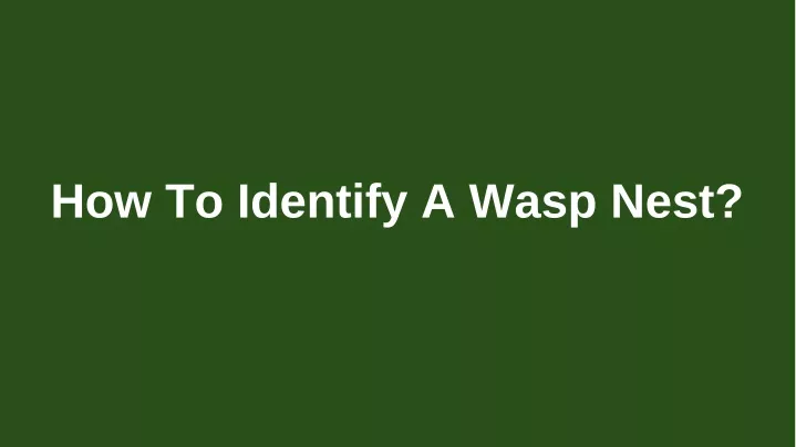 how to identify a wasp nest
