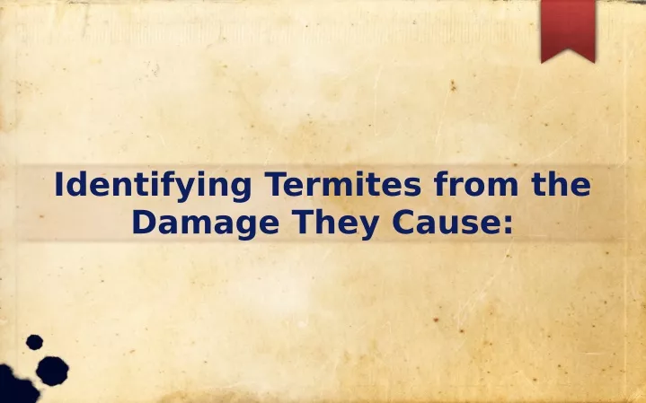identifying termites from the damage they cause