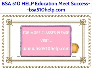 BSA 510 HELP Education Meet Success--bsa510help.com