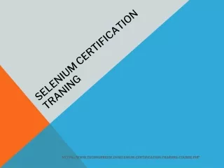 selenium certification traning